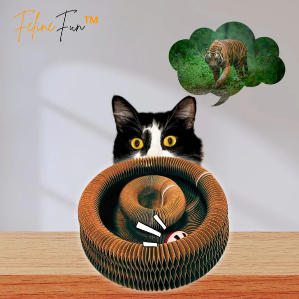 CAT TOY
